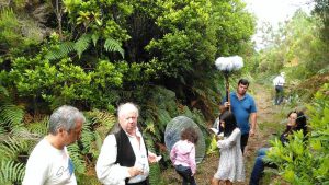 jardim-feiticeiro2